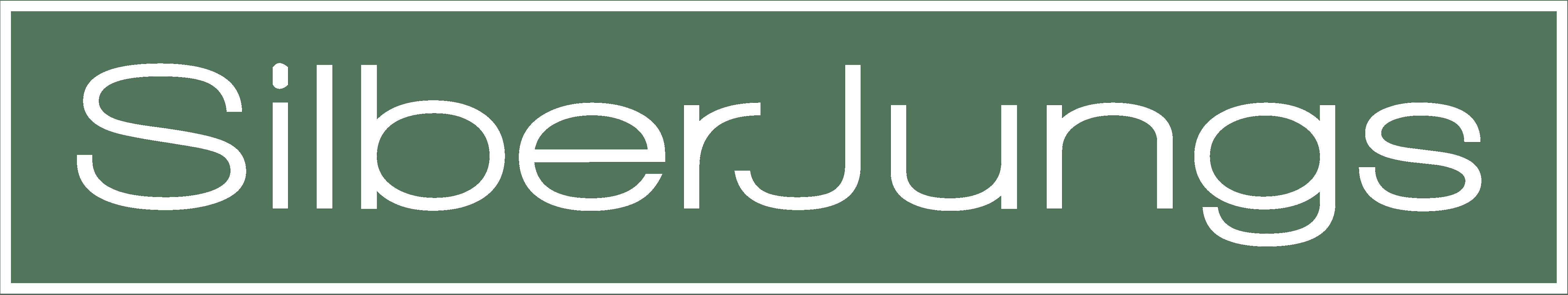 silberjungs.de